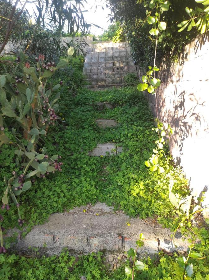 Appartamento Con Giardino Торе Дей Корсари Екстериор снимка